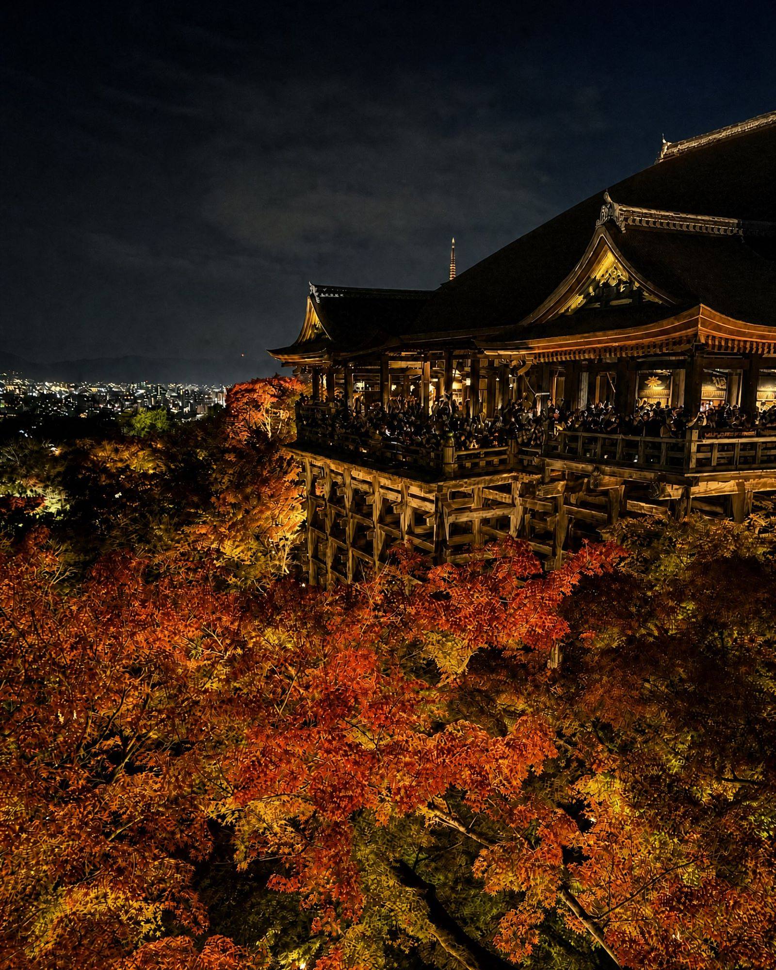 Nighttime autumn foliage illumination at the iconic wooden stage of Kiyomizu-dera Temple overlooking the Kyoto city skyline in Kyoto, Japan.
